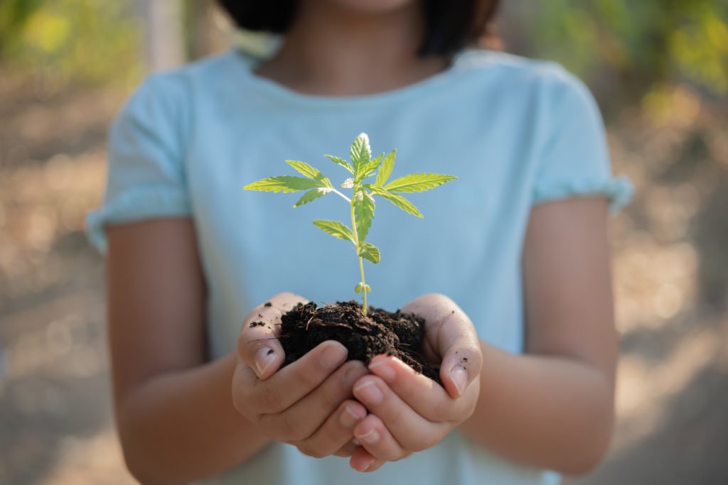 Dia das Crianças MTower. Criança segurando uma muda de planta para simbolizar a preocupação com a sustentabilidade.