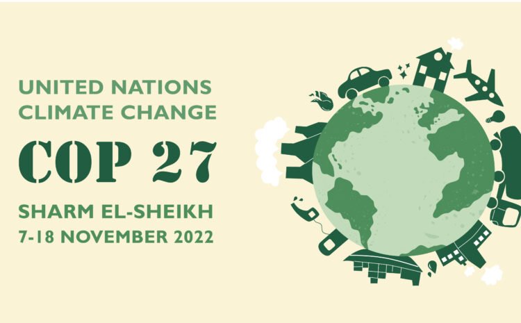  4 Avanços e Discussões da COP 27